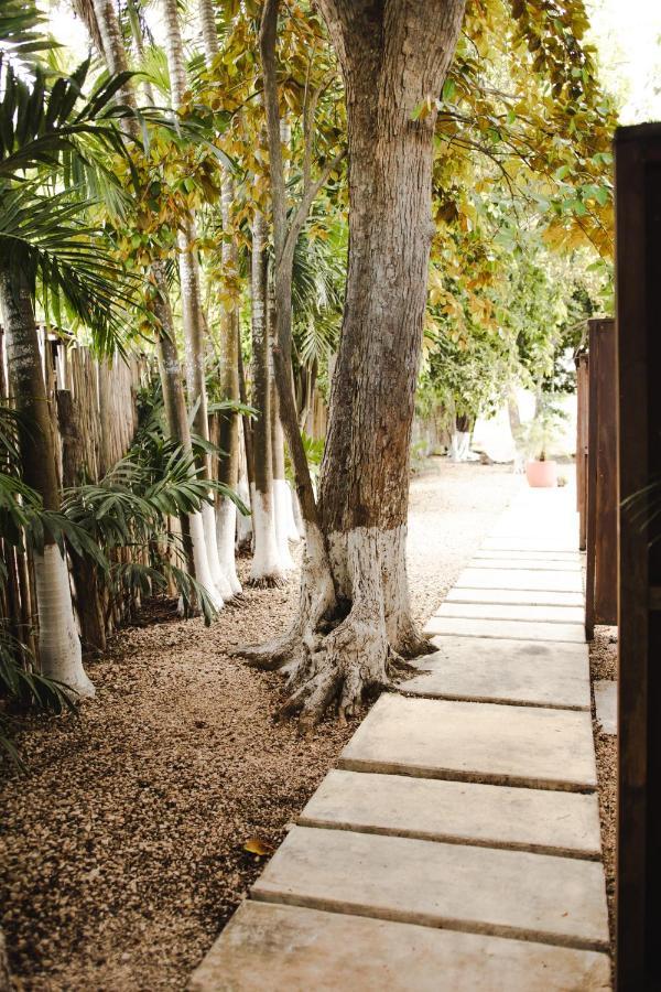 Hotel Selva Maya บากาลาร์ ภายนอก รูปภาพ